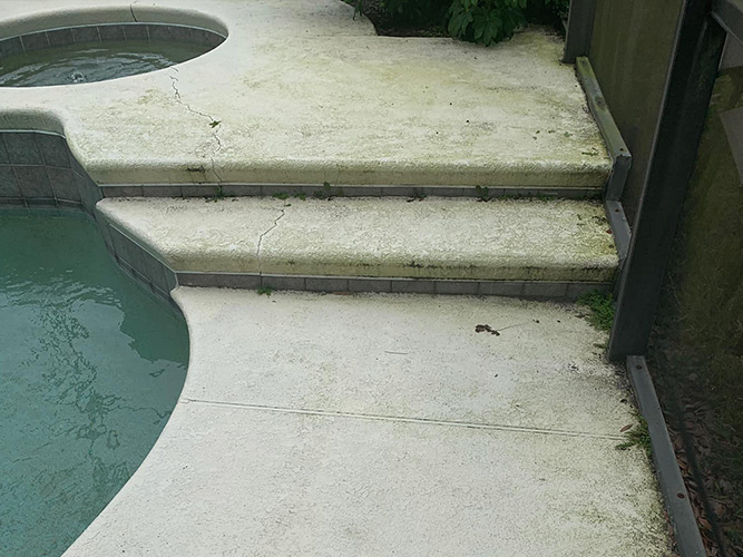 Private Pool Deck covered with algae