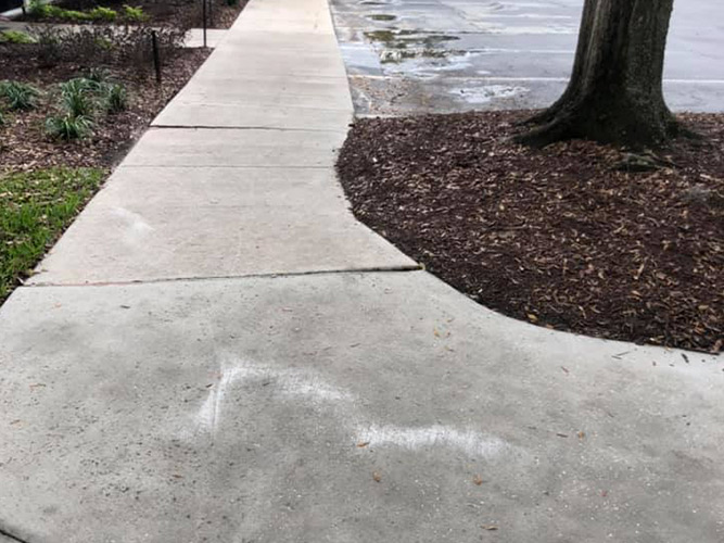 Concrete Walkway after pressure cleaning in Longwood