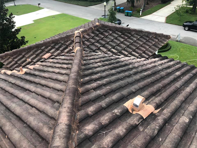 Tile Roof before Cleaning