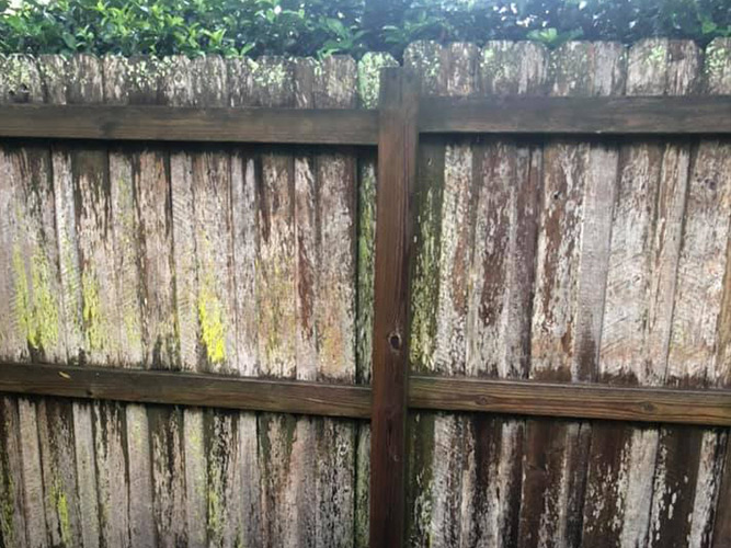 Wooden Fence before Soft Washing