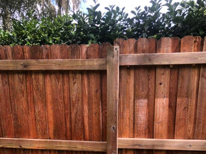 Wooden Fence after Soft Washing