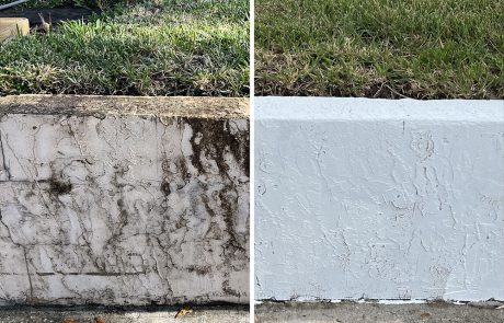 walkway border wall before and after cleaning