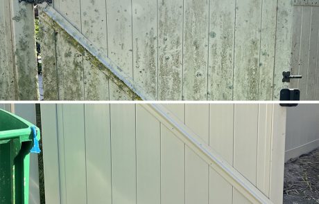 Fence door - What a difference after cleaning