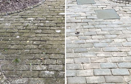 Brick walkway slippery from algae growth before cleaning