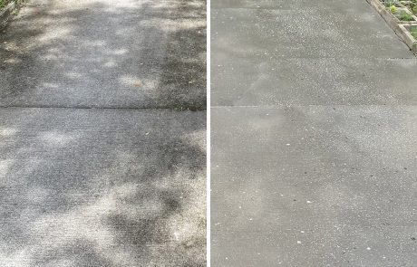 Sidewalk covered with mold before cleaning