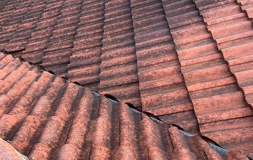 Tile Roof after cleaning
