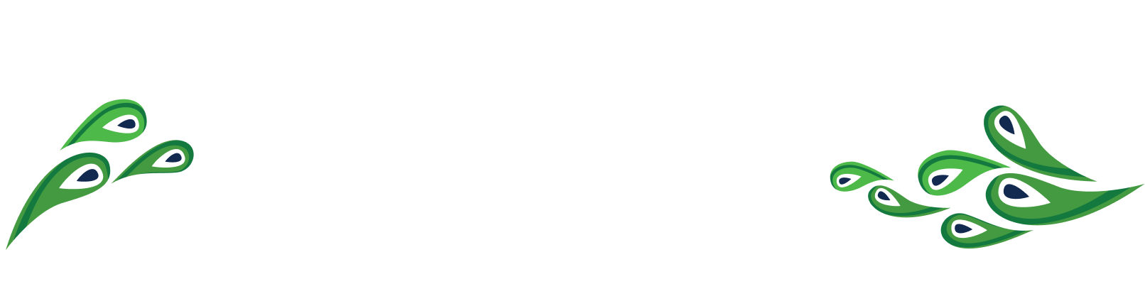 Pressure Washing Orlando FL