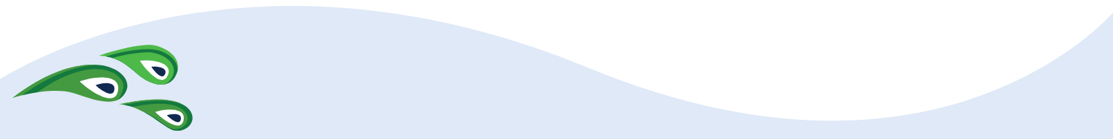 Pressure Washing Orlando FL