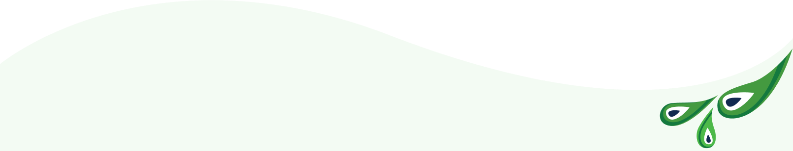 Pressure Washing Orlando FL