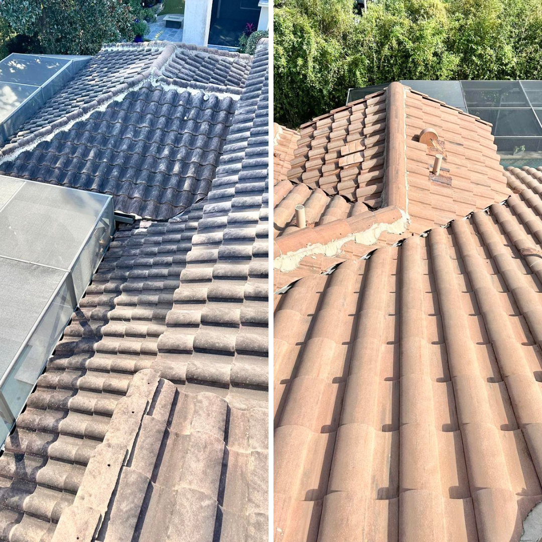 Roof Cleaning Orlando FL