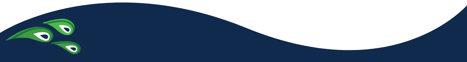 Pressure Washing Orlando FL