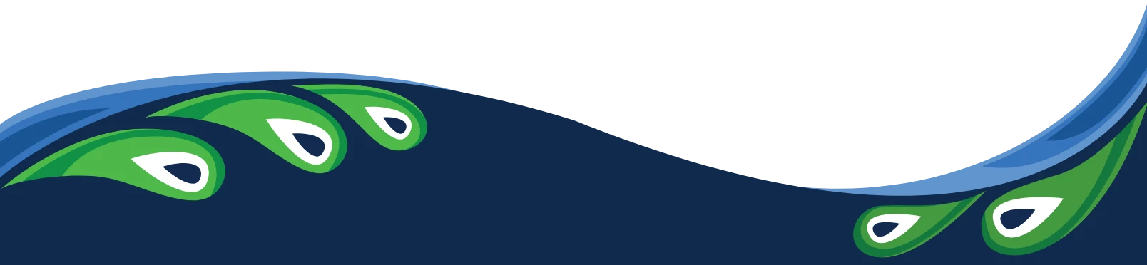 Pressure Washing Orlando FL