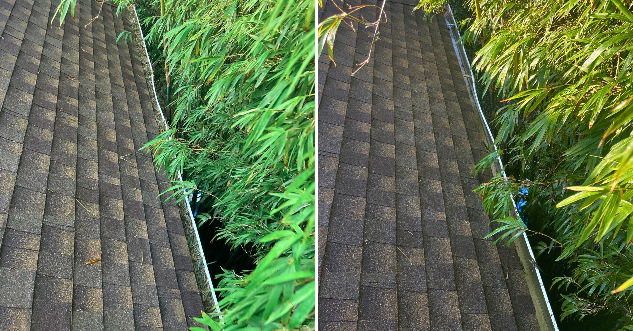 Roof Cleaning Altamonte Springs, FL