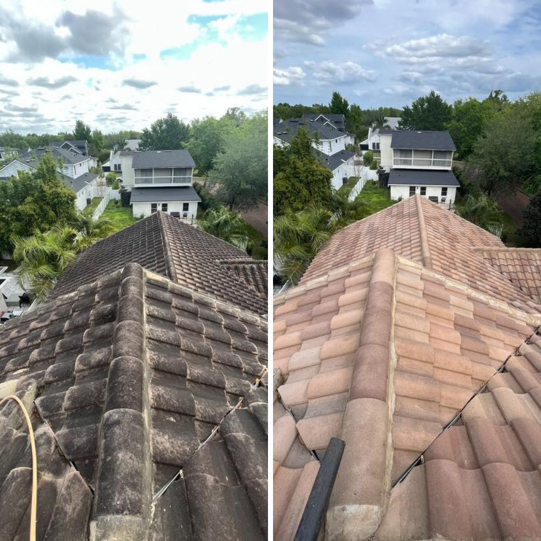 Roof Cleaning Oviedo, FL