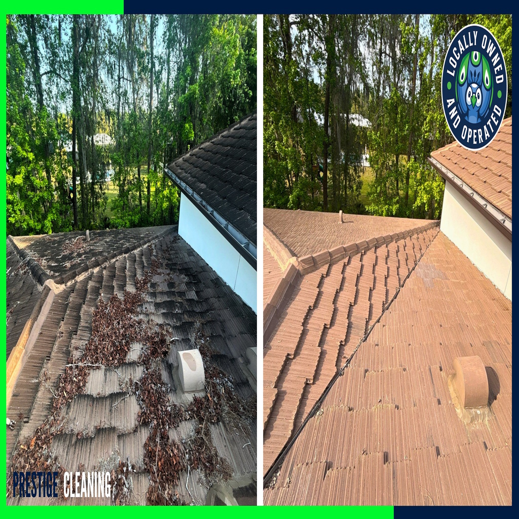 Roof Cleaning project in Casselberry FL